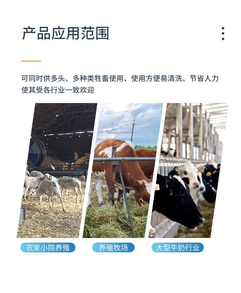 详情_06.jpg