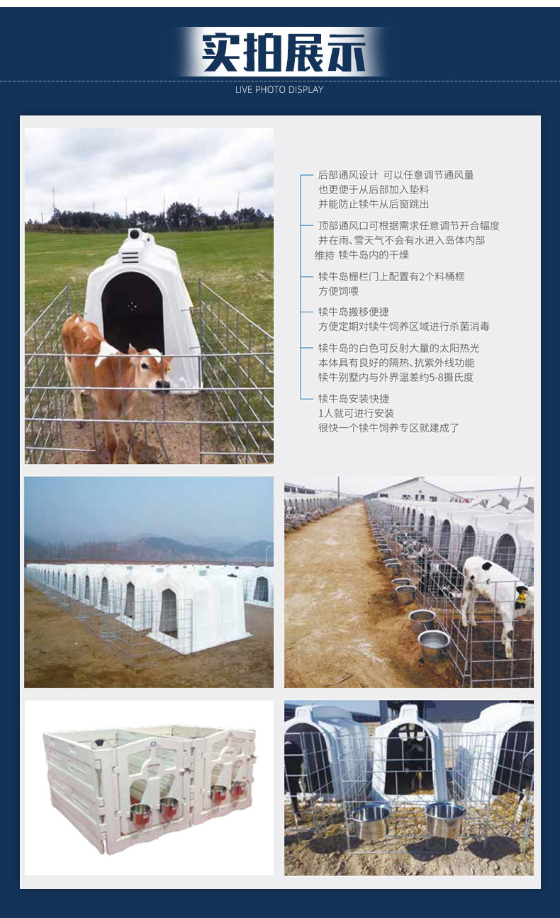 详情_09.jpg